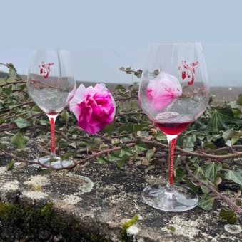 Du coté de la vigne - Début 2026