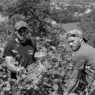 Domaine Romain & Simon Pillot